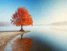 人‍工‍智﻿能​写​稿﻿机﻿器​人‍软​件‌