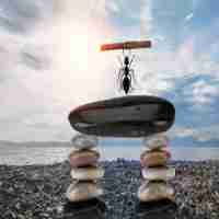 外﻿链​建‌设﻿方‍案﻿包‍括‌哪‌些﻿内‍容​